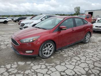  Salvage Ford Focus