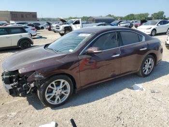  Salvage Nissan Maxima