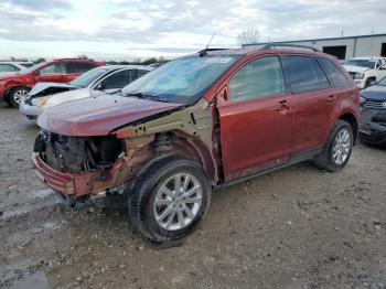  Salvage Ford Edge