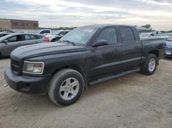  Salvage Dodge Dakota