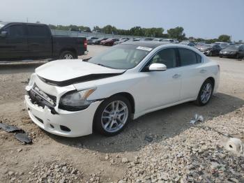  Salvage Nissan Maxima