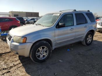  Salvage Ford Escape