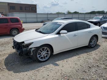  Salvage Nissan Maxima