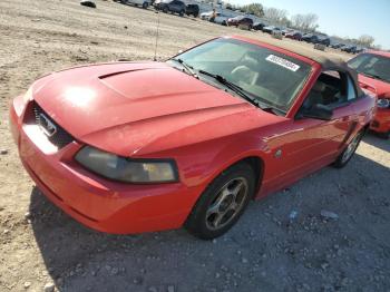  Salvage Ford Mustang