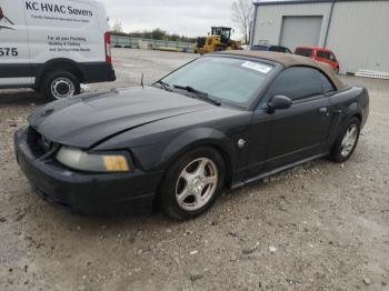  Salvage Ford Mustang