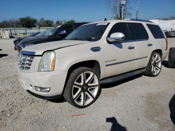  Salvage Cadillac Escalade