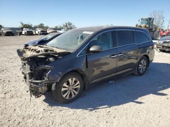  Salvage Honda Odyssey