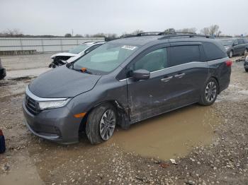  Salvage Honda Odyssey