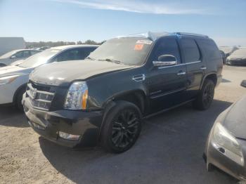  Salvage Cadillac Escalade