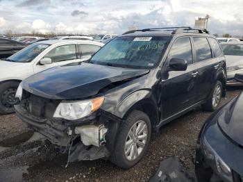  Salvage Subaru Forester