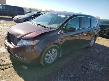  Salvage Honda Odyssey