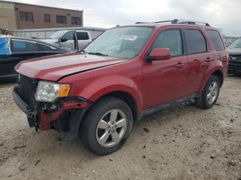  Salvage Ford Escape