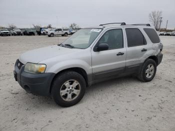  Salvage Ford Escape