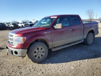  Salvage Ford F-150