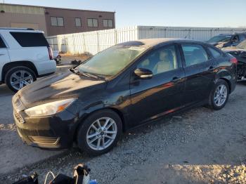  Salvage Ford Focus