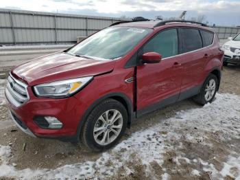  Salvage Ford Escape