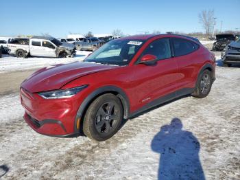  Salvage Ford Mustang