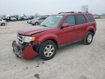  Salvage Ford Escape