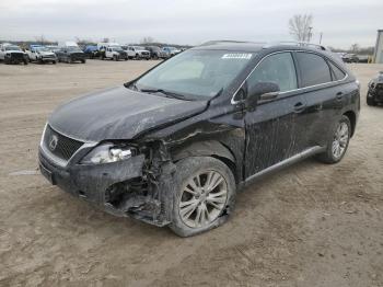  Salvage Lexus RX