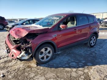  Salvage Ford Escape