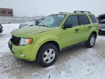  Salvage Ford Escape