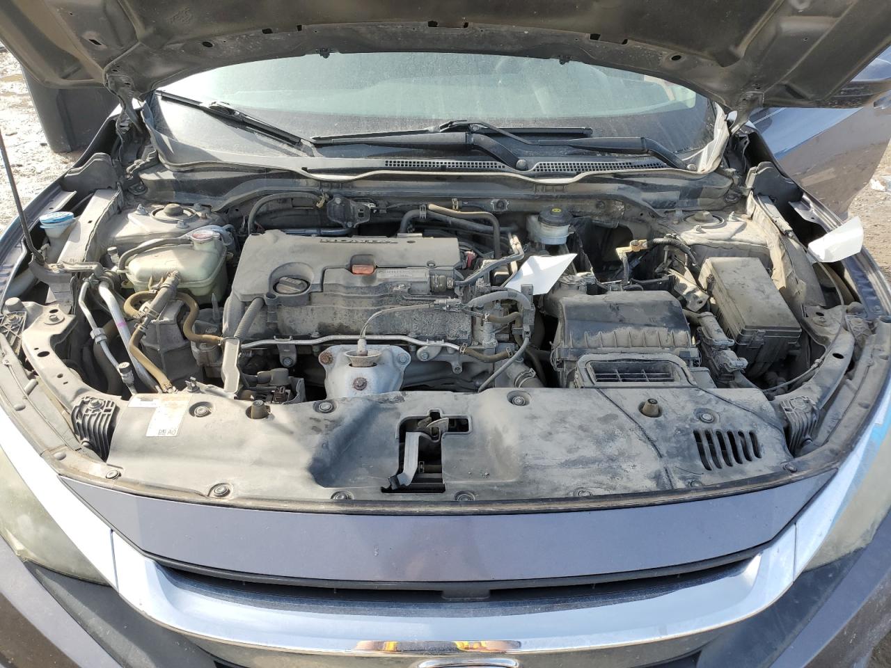 Honda Civic Lx Image 8