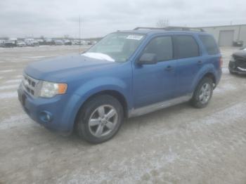  Salvage Ford Escape