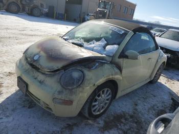  Salvage Volkswagen Beetle