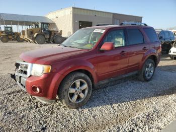  Salvage Ford Escape