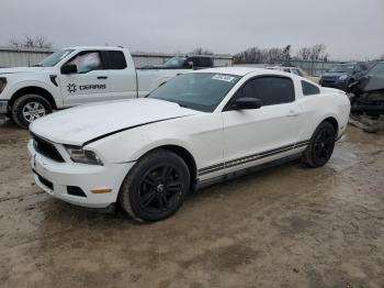  Salvage Ford Mustang