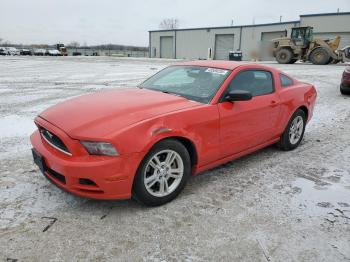  Salvage Ford Mustang