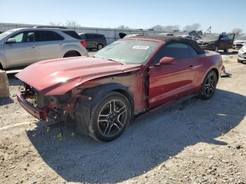  Salvage Ford Mustang