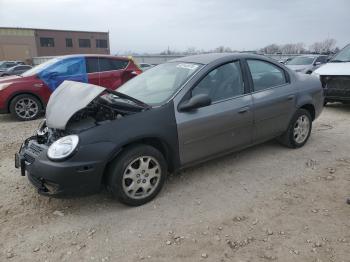  Salvage Dodge Neon