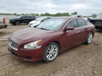  Salvage Nissan Maxima