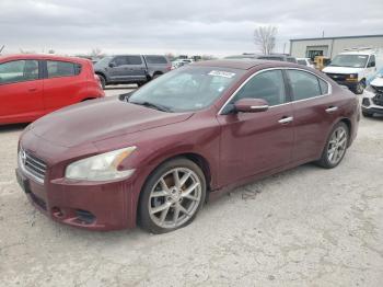 Salvage Nissan Maxima