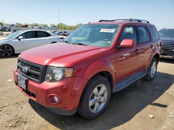  Salvage Ford Escape