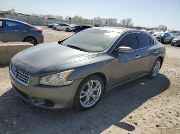  Salvage Nissan Maxima
