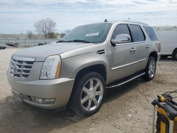  Salvage Cadillac Escalade