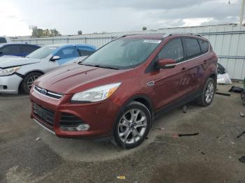  Salvage Ford Escape
