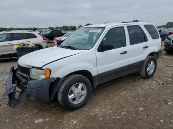  Salvage Ford Escape