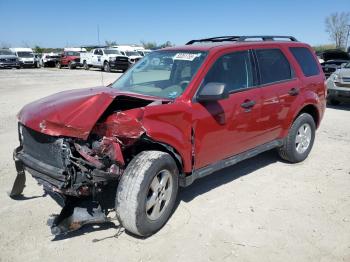  Salvage Ford Escape