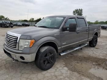  Salvage Ford F-150