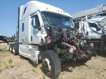  Salvage Freightliner Cascadia 1
