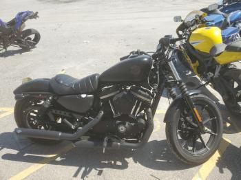 Salvage Harley-Davidson Xl883 N