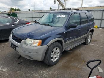  Salvage Ford Escape