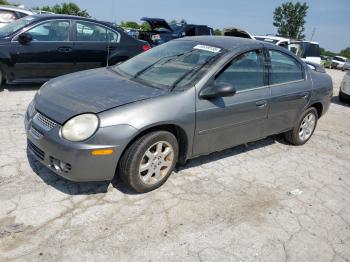  Salvage Dodge Neon