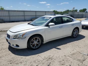  Salvage Nissan Maxima