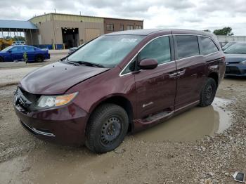  Salvage Honda Odyssey