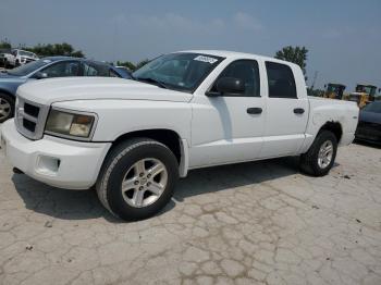  Salvage Dodge Dakota