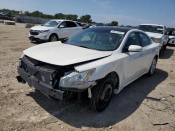  Salvage Nissan Maxima